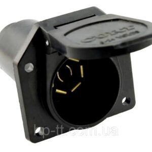 Розетка лепестковая, Америка